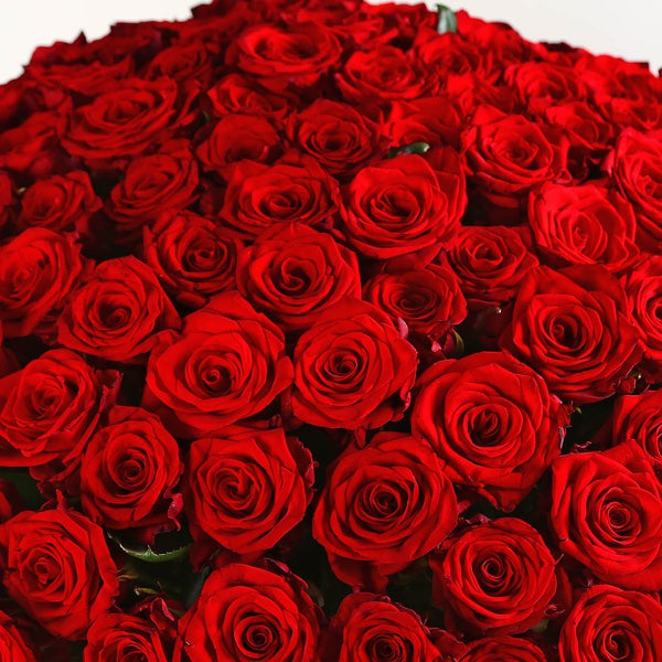 150 Red Roses Special Bouquet