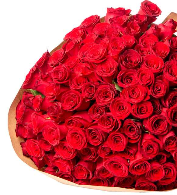 Side view of a two hundred red rose craft paper bouquet