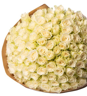 Close-up detail of a two hundred white rose bouquet