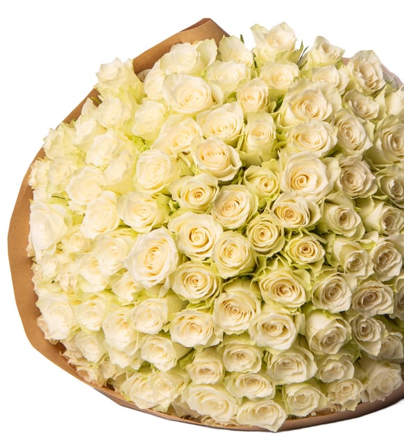 Close-up detail of a two hundred white rose bouquet