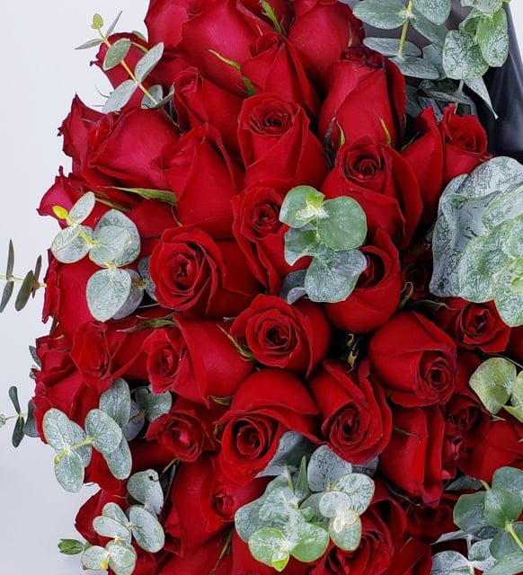24 Red Roses Bunch