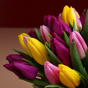 Fifty-one bright tulips viewed from above