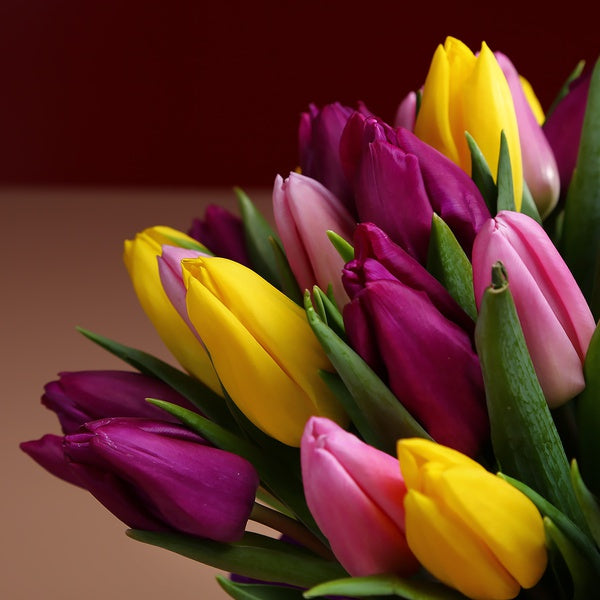 51 Bright Tulips Bouquet