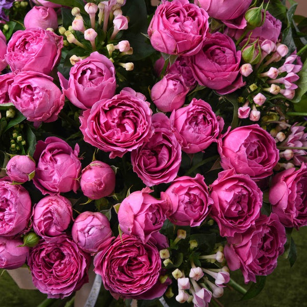 Garden Roses & Clematis Bouquet