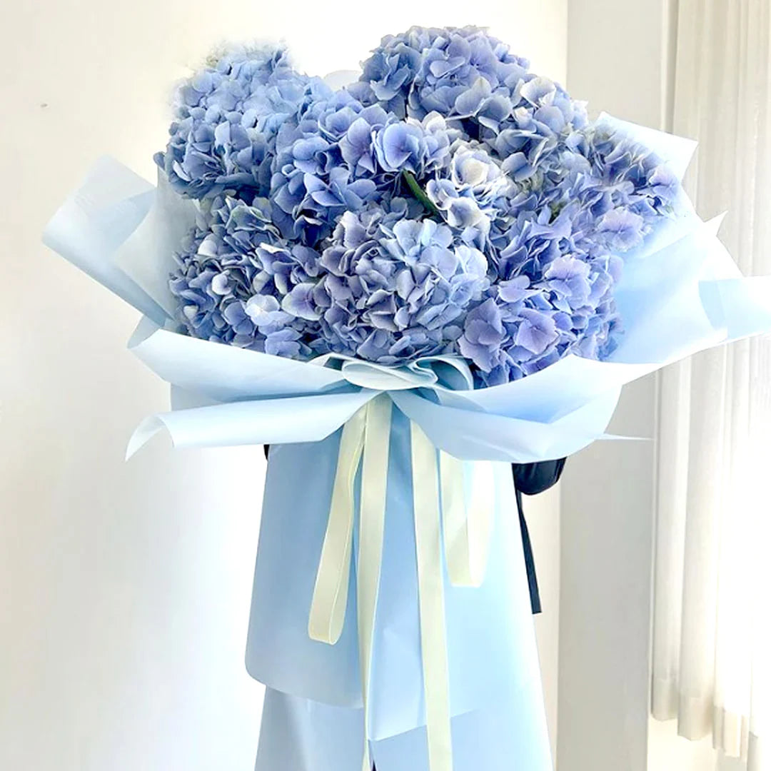 Giant 10 Blue Hydrangeas Bouquet By Flower Delivery Dubai for Friendship
