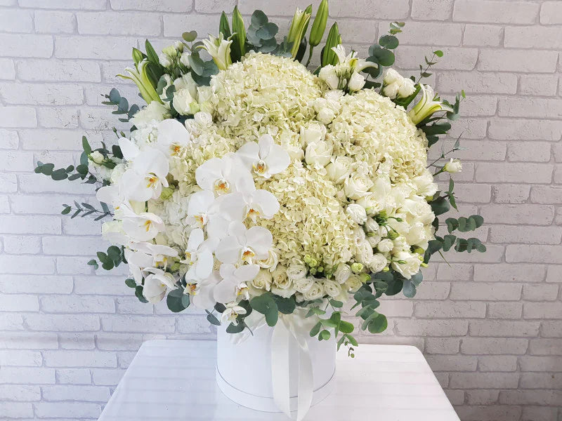 White Roses, Hydrangeas & Lilies in Box By Flower Delivery Dubai for Friendship
